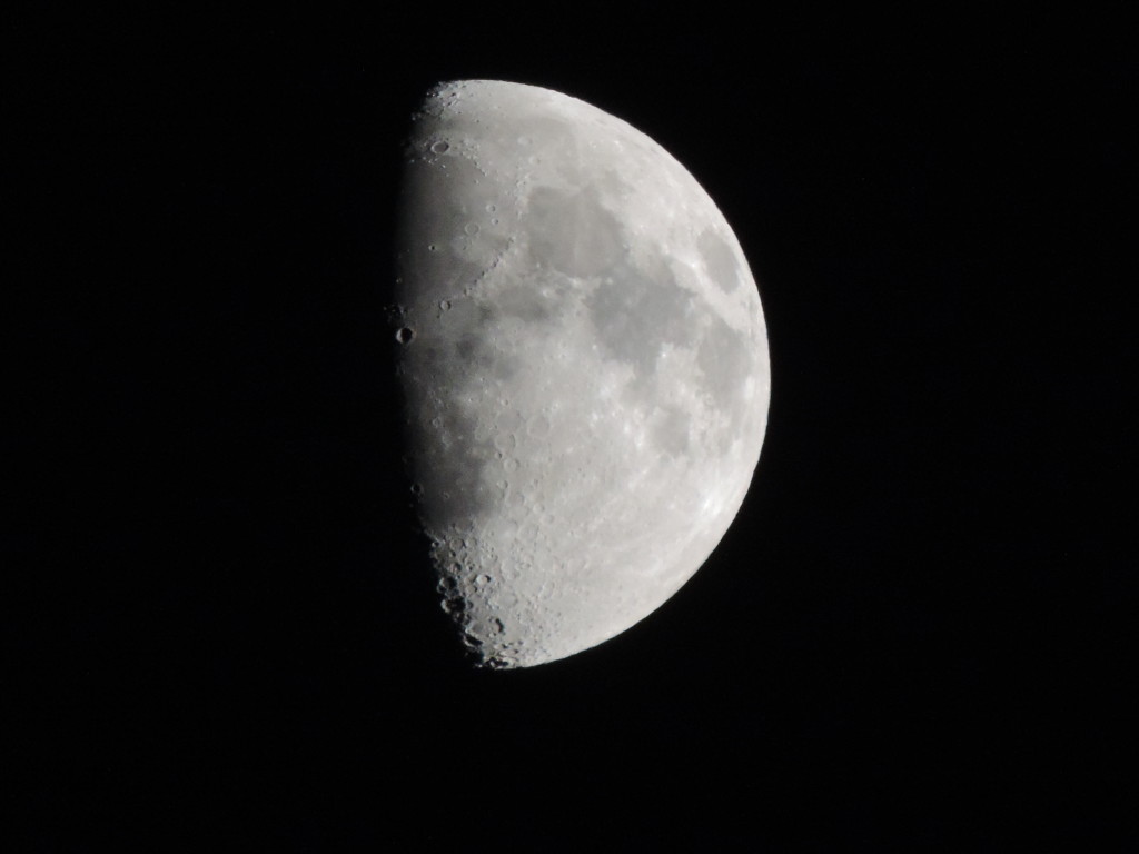 DSCN0201